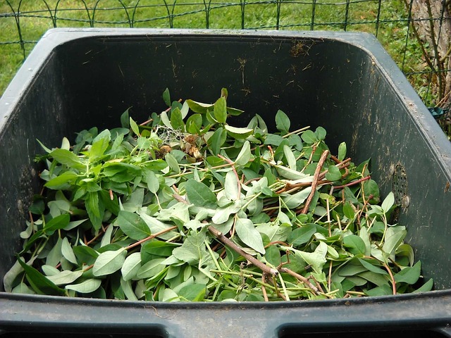 Drugie Życie Resztek: Jak Domowe Kompostowanie z Zaskakującymi Dodatkami Zmieniło Mój Ogród (i Myślenie o Zero Waste)